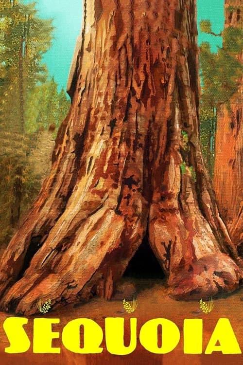 Poster for Sequoia